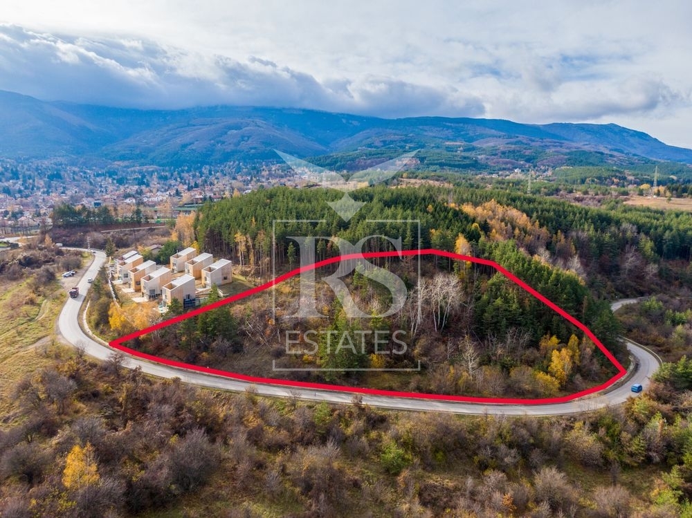 large_DJI_0456_1.jpg