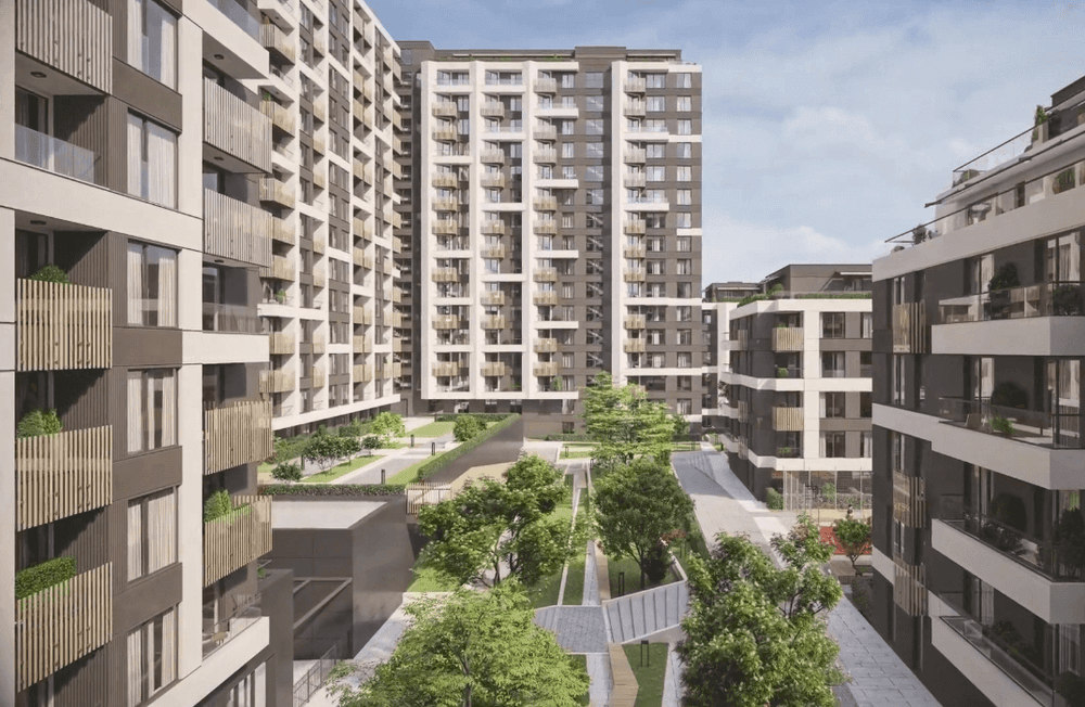 large_Screen Shot 2023-10-11 at 11.30.41.png